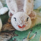 Book Bear and Book Bunny - english pattern