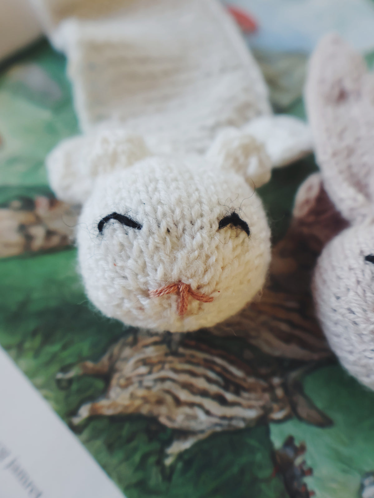Book Bear and Book Bunny - english pattern
